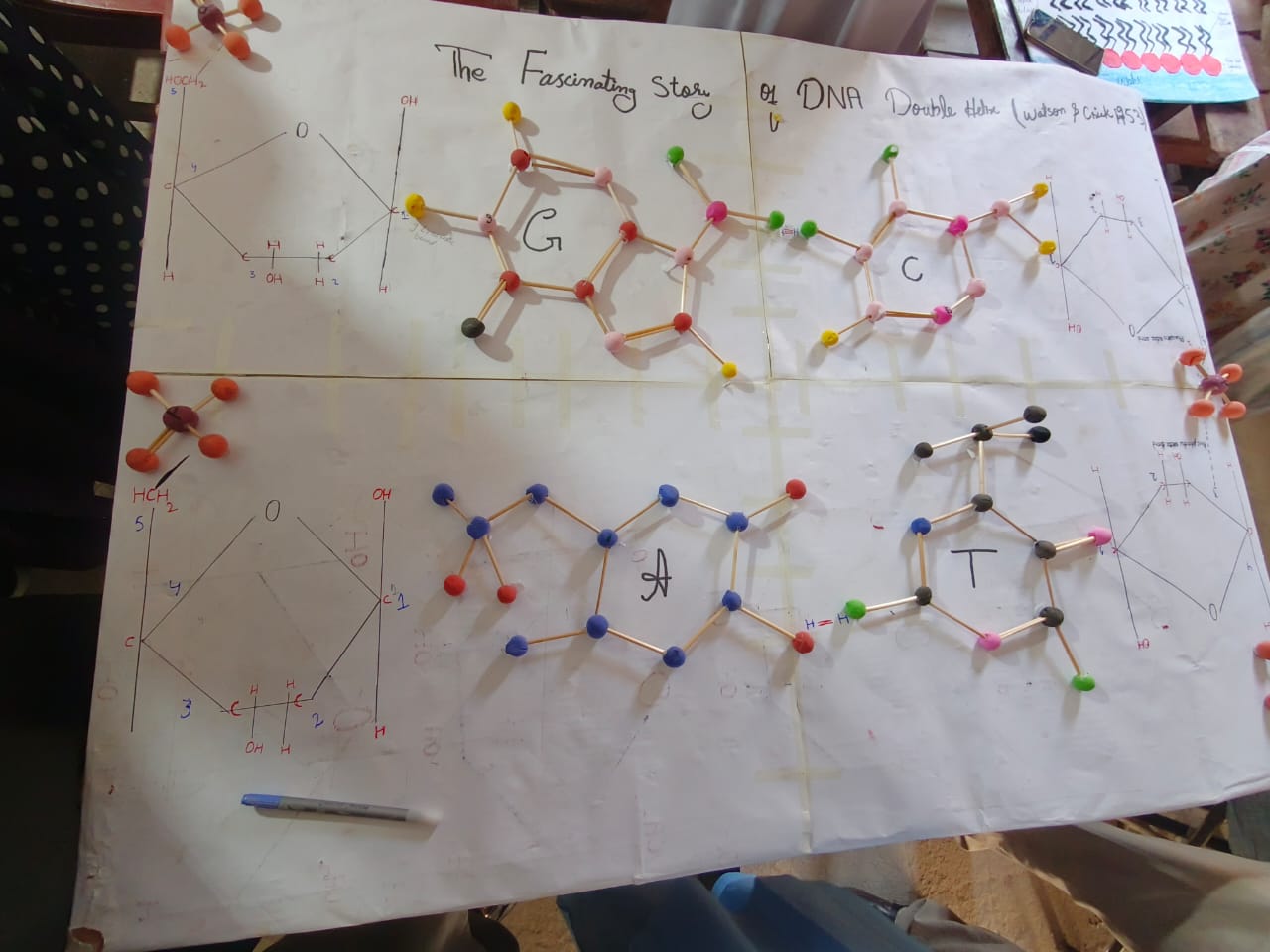 Image 5
